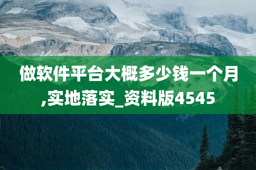 做软件平台大概多少钱一个月,实地落实_资料版4545