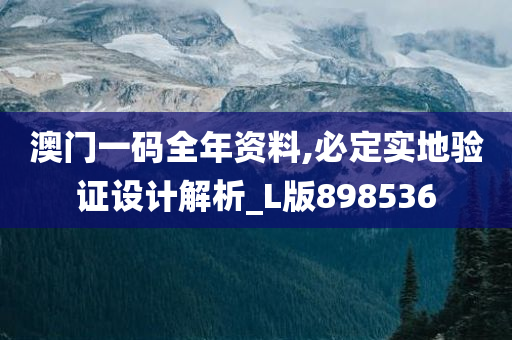 澳门一码全年资料,必定实地验证设计解析_L版898536