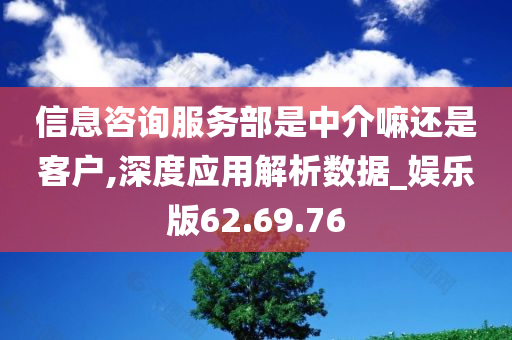 信息咨询服务部是中介嘛还是客户,深度应用解析数据_娱乐版62.69.76