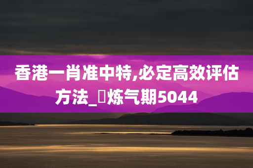 香港一肖准中特,必定高效评估方法_‌炼气期5044