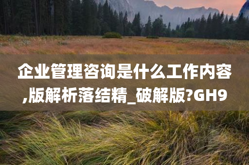 企业管理咨询是什么工作内容,版解析落结精_破解版?GH9