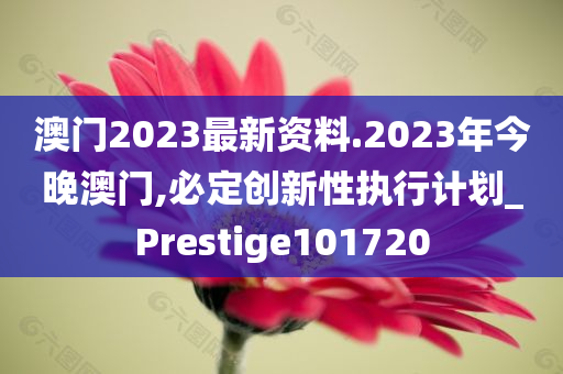 澳门2023最新资料.2023年今晚澳门,必定创新性执行计划_Prestige101720