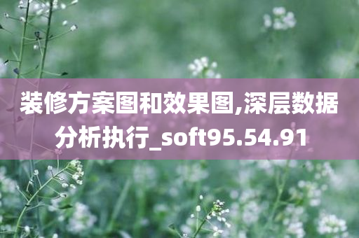 装修方案图和效果图,深层数据分析执行_soft95.54.91