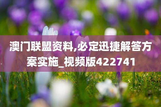 澳门联盟资料,必定迅捷解答方案实施_视频版422741