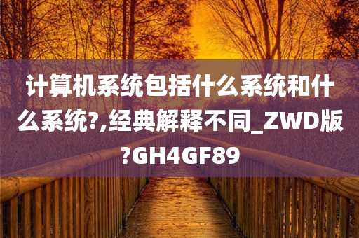 计算机系统包括什么系统和什么系统?,经典解释不同_ZWD版?GH4GF89