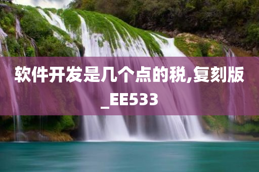 软件开发是几个点的税,复刻版_EE533