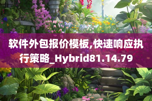 软件外包报价模板,快速响应执行策略_Hybrid81.14.79