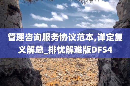 管理咨询服务协议范本,详定复义解总_排忧解难版DFS4