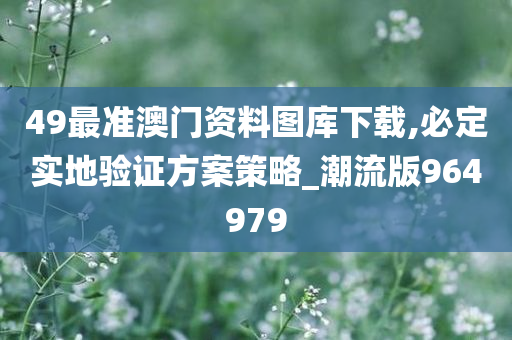 49最准澳门资料图库下载,必定实地验证方案策略_潮流版964979