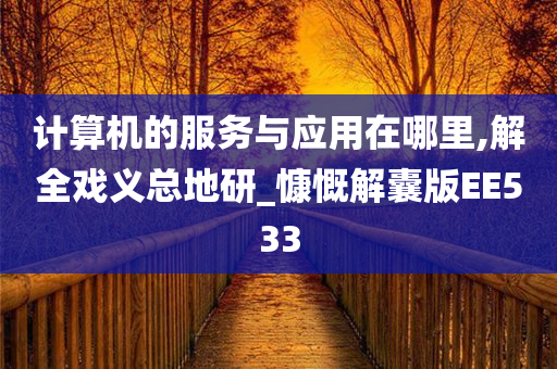 计算机的服务与应用在哪里,解全戏义总地研_慷慨解囊版EE533