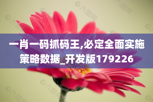 一肖一码抓码王,必定全面实施策略数据_开发版179226