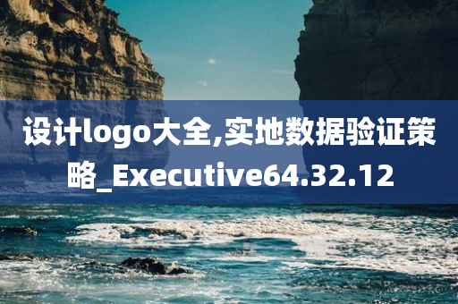 设计logo大全,实地数据验证策略_Executive64.32.12