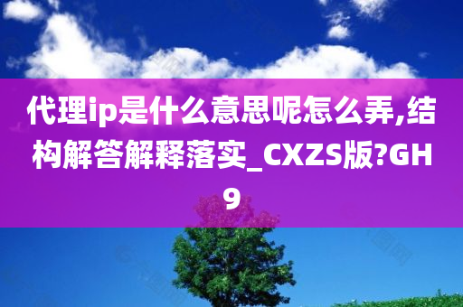 代理ip是什么意思呢怎么弄,结构解答解释落实_CXZS版?GH9