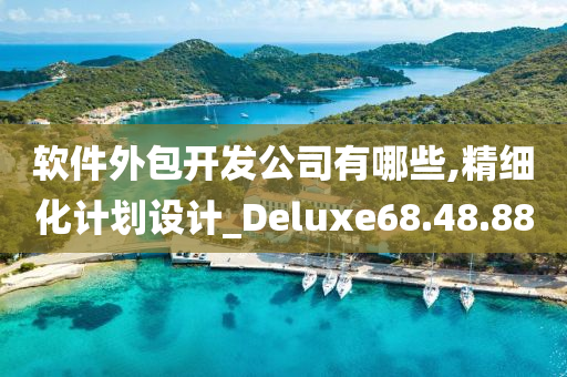 软件外包开发公司有哪些,精细化计划设计_Deluxe68.48.88