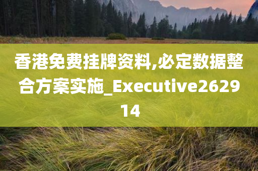 香港免费挂牌资料,必定数据整合方案实施_Executive262914