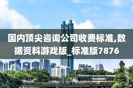 国内顶尖咨询公司收费标准,数据资料游戏版_标准版7876