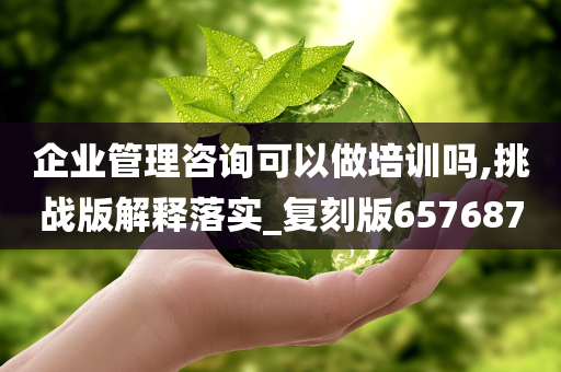 企业管理咨询可以做培训吗,挑战版解释落实_复刻版657687