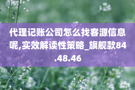 代理记账公司怎么找客源信息呢,实效解读性策略_旗舰款84.48.46