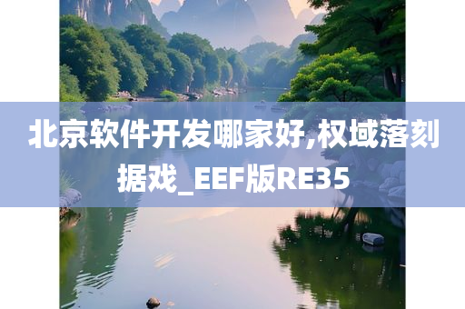 北京软件开发哪家好,权域落刻据戏_EEF版RE35