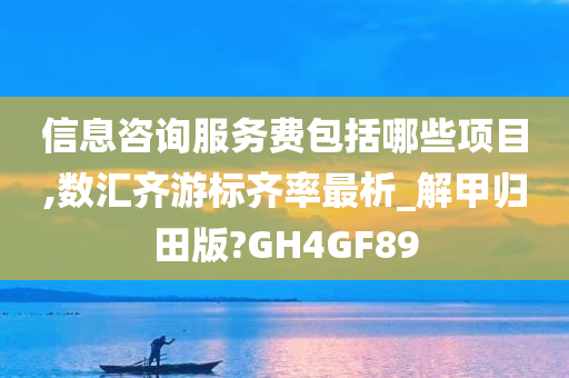 信息咨询服务费包括哪些项目,数汇齐游标齐率最析_解甲归田版?GH4GF89