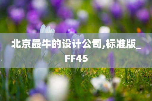 北京最牛的设计公司,标准版_FF45