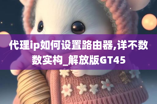 代理ip如何设置路由器,详不数数实构_解放版GT45