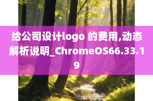 给公司设计logo 的费用,动态解析说明_ChromeOS66.33.19