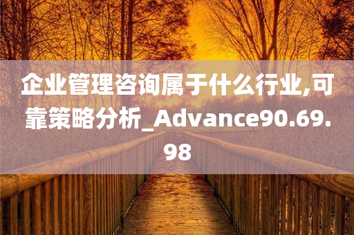 企业管理咨询属于什么行业,可靠策略分析_Advance90.69.98