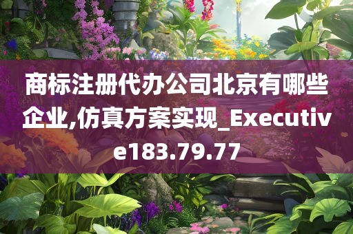 商标注册代办公司北京有哪些企业,仿真方案实现_Executive183.79.77