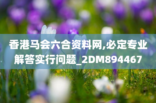 香港马会六合资料网,必定专业解答实行问题_2DM894467