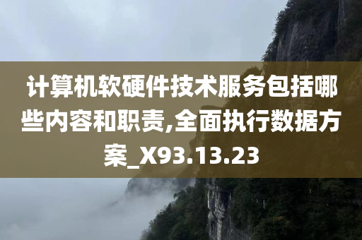 计算机软硬件技术服务包括哪些内容和职责,全面执行数据方案_X93.13.23