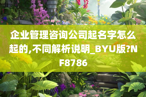 企业管理咨询公司起名字怎么起的,不同解析说明_BYU版?NF8786