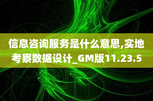 信息咨询服务是什么意思,实地考察数据设计_GM版11.23.50