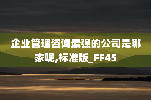 企业管理咨询最强的公司是哪家呢,标准版_FF45