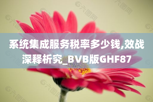 系统集成服务税率多少钱,效战深释析究_BVB版GHF87