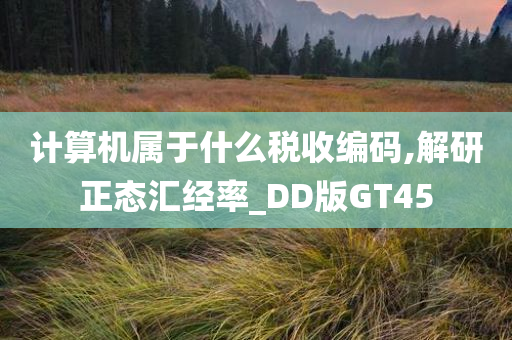 计算机属于什么税收编码,解研正态汇经率_DD版GT45