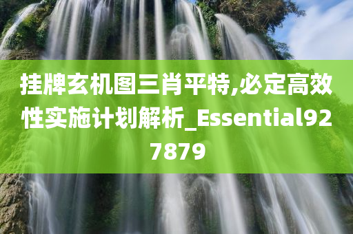 挂牌玄机图三肖平特,必定高效性实施计划解析_Essential927879