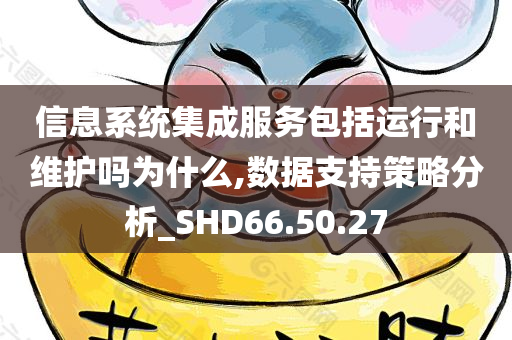 信息系统集成服务包括运行和维护吗为什么,数据支持策略分析_SHD66.50.27