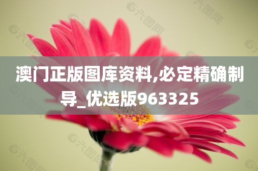 澳门正版图库资料,必定精确制导_优选版963325