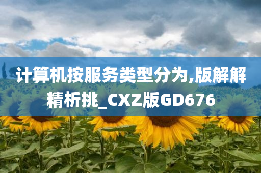 计算机按服务类型分为,版解解精析挑_CXZ版GD676