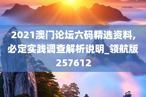 2021澳门论坛六码精选资料,必定实践调查解析说明_领航版257612