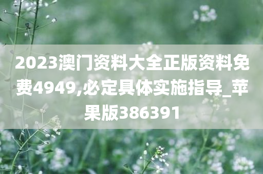 2023澳门资料大全正版资料免费4949,必定具体实施指导_苹果版386391