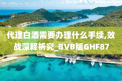 代理白酒需要办理什么手续,效战深释析究_BVB版GHF87