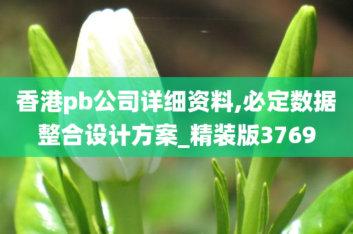 香港pb公司详细资料,必定数据整合设计方案_精装版3769