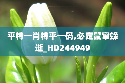 平特一肖特平一码,必定鼠窜蜂逝_HD244949