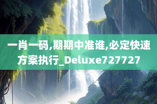 一肖一码,期期中准谁,必定快速方案执行_Deluxe727727