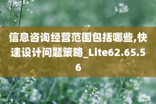 信息咨询经营范围包括哪些,快速设计问题策略_Lite62.65.56