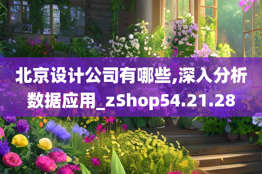 北京设计公司有哪些,深入分析数据应用_zShop54.21.28