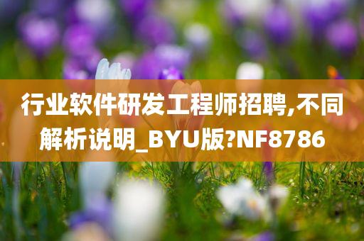 行业软件研发工程师招聘,不同解析说明_BYU版?NF8786