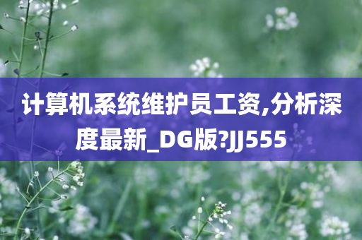 计算机系统维护员工资,分析深度最新_DG版?JJ555